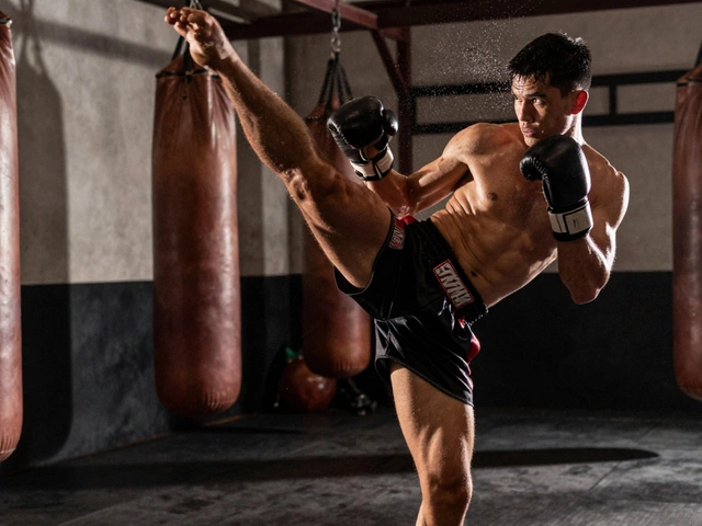 В каком единоборстве самый сильный удар?